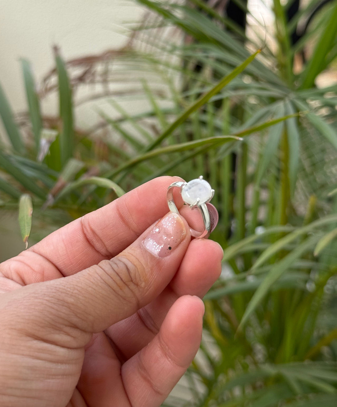 Hand holding a silver ring with a clear stone against a green leafy background