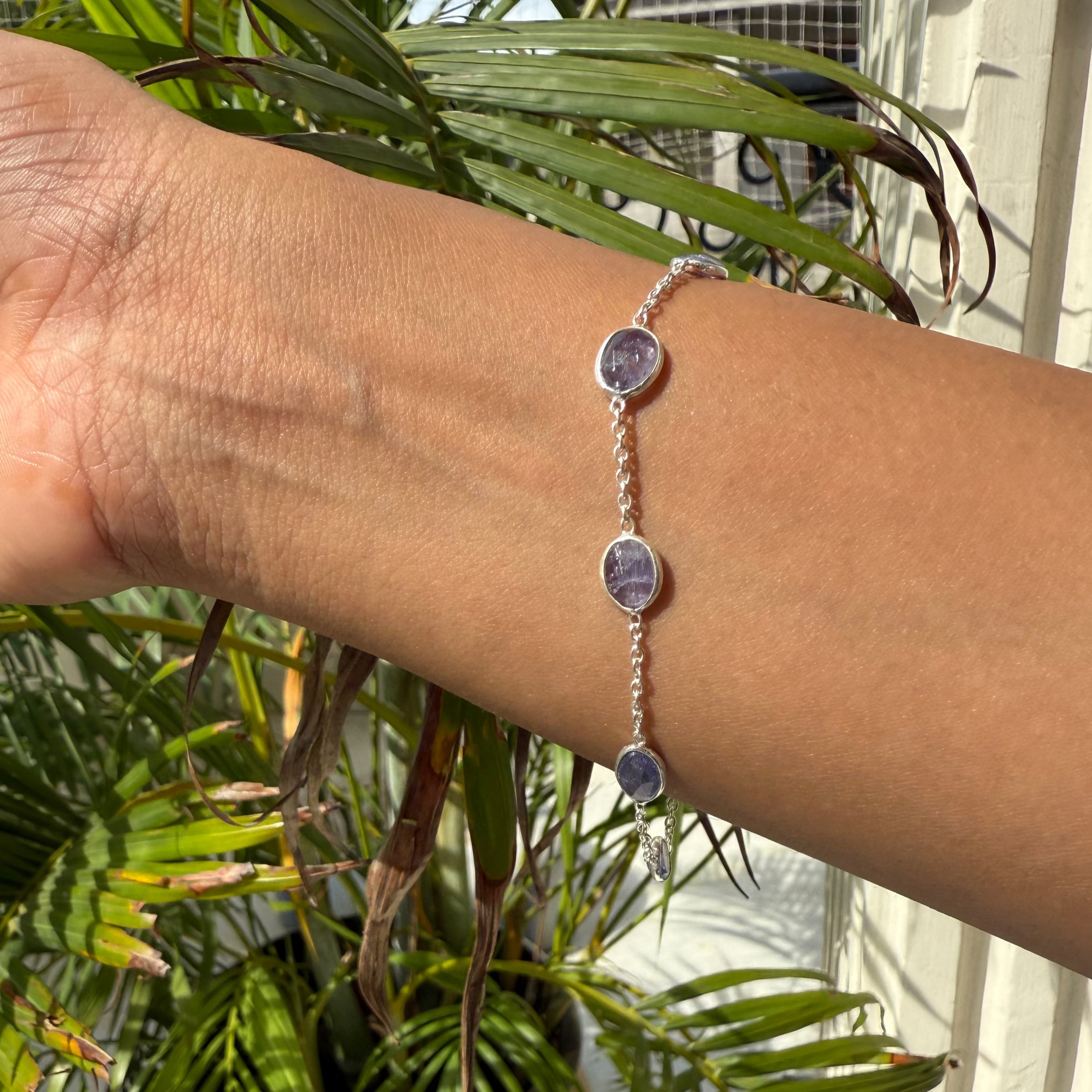 Hand wearing a bracelet with purple stones against a plant background